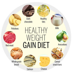 High-Calorie Nutrient-Dense Diet