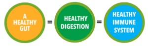 Heal the Gut, Empower the Immune System