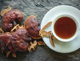 Reishi Mushroom Tea 