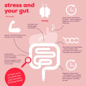 Stress and your gut 