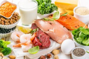 Sustainable Protein 