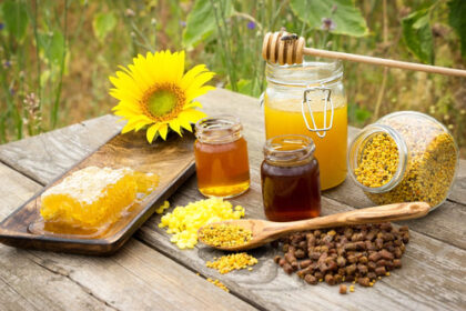 Propolis: Nature’s Hidden Miracle from the Beehive